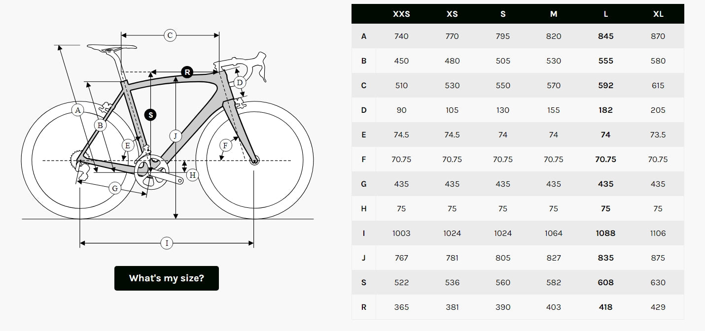Gravelbike "Ridley Kanzo Adventure Alu Shimano GRX 400 2x10sp" Grün