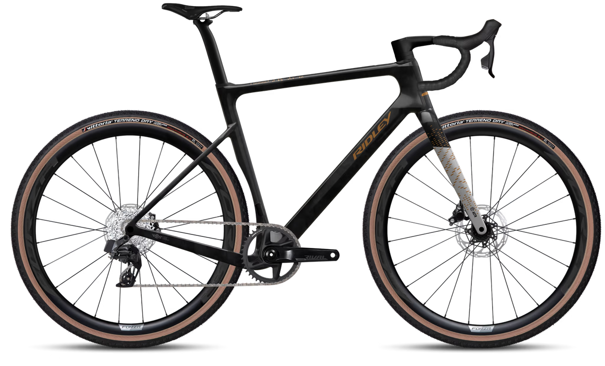Gravelbike "Ridley E-ASTR mit Sram Rival XPLR 1x13" Grau