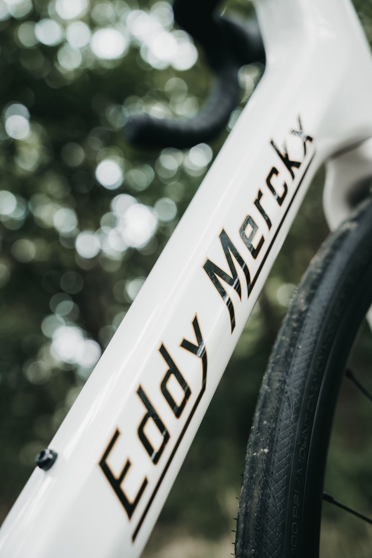 Rennrad "Eddy Merckx Mendrisio mit Shimano 105 2x12sp" Weiß