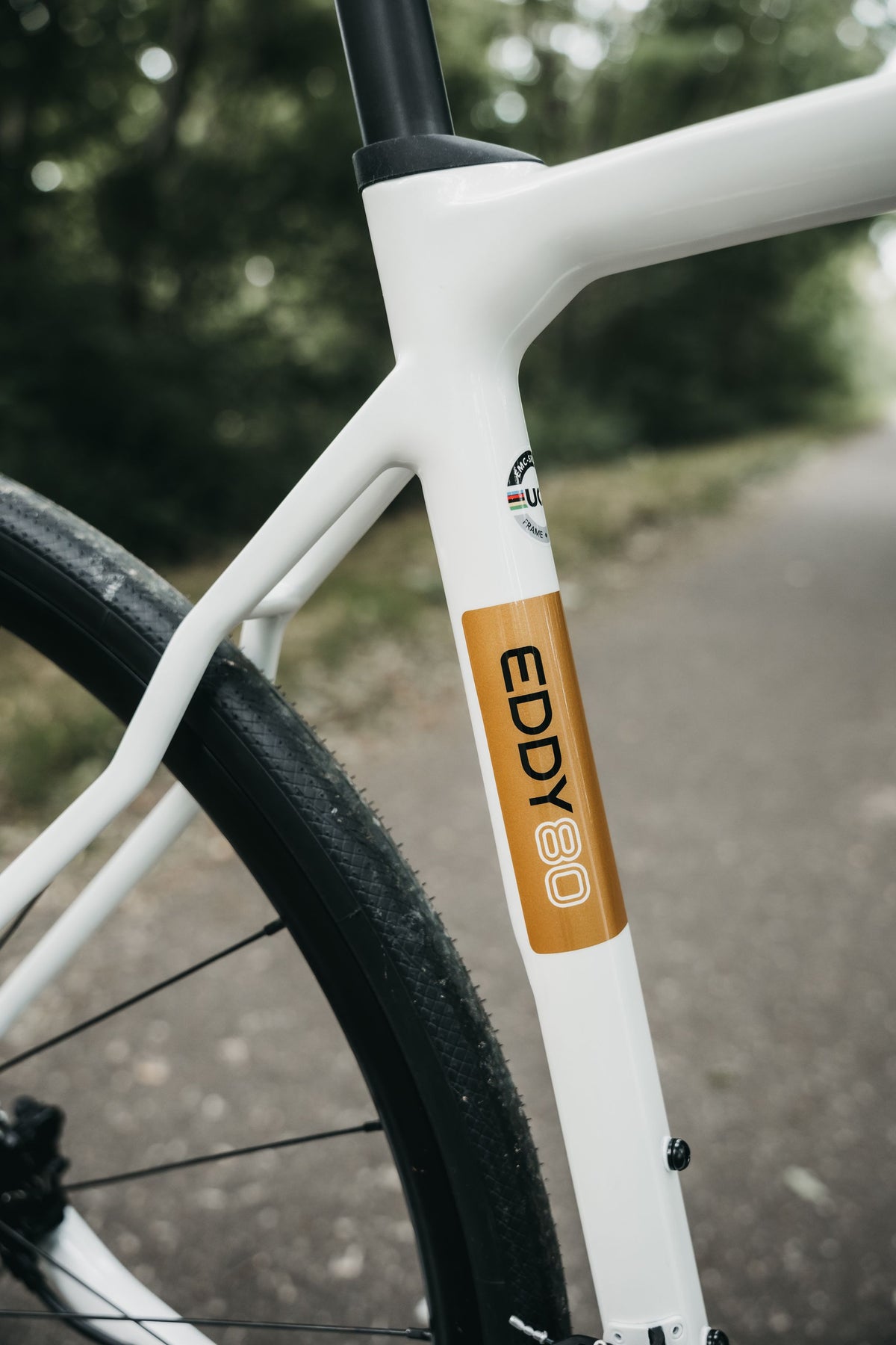 Rennrad "Eddy Merckx Mendrisio mit Shimano 105 2x12sp" Weiß