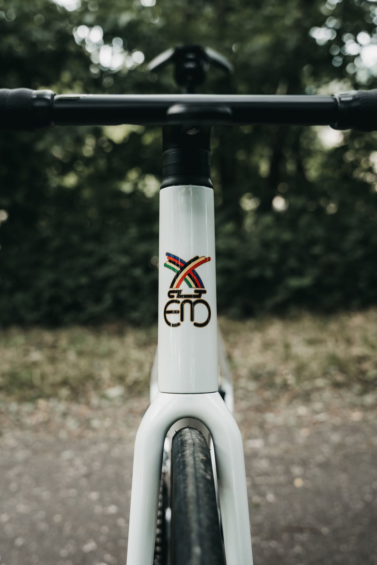 Rennrad "Eddy Merckx Mendrisio mit Shimano 105 2x12sp" Weiß